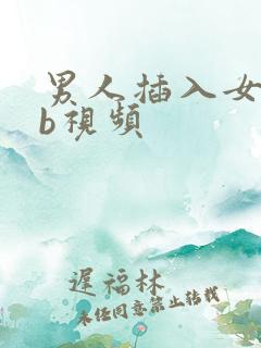男人插入女人bb视频