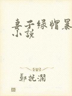 妻子绿帽暴露的小说