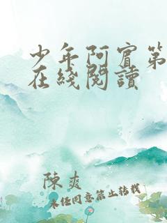 少年阿宾第二部在线阅读