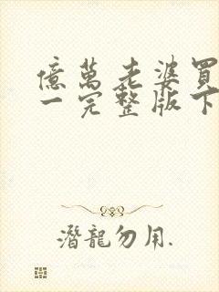 亿万老婆买一送一完整版下载