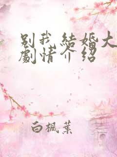 别我结婚大结局剧情介绍