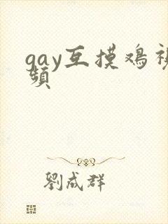 gay互摸鸡视频