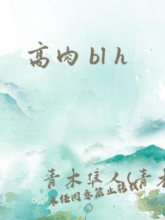 高肉 bl h