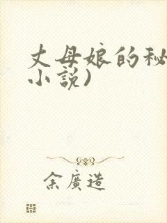 丈母娘的秘密(小说)