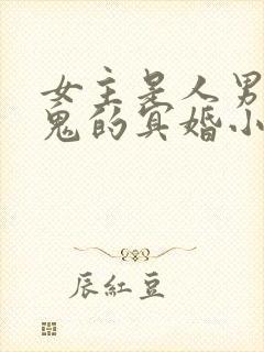 女主是人男主是鬼的冥婚小说