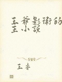 王爷影卫的双男主小说