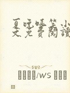 夏晚哑笑小说全文免费阅读最新章节