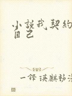 小说我契约了我自己