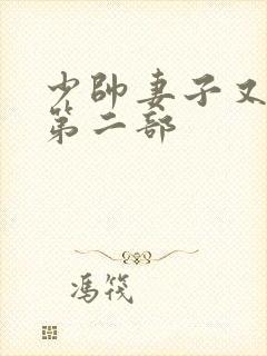 少帅妻子又跑了第二部