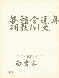 各种含道具高h调教1v1文