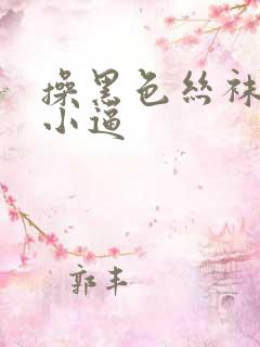 操黑色丝袜欧美小逼