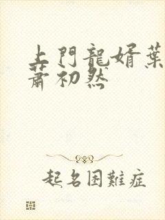 上门龙婿叶晨和萧初然