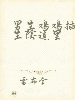 男生鸡鸡插进女生阴道里