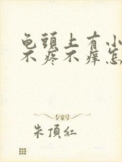 龟头上有小疙瘩不疼不痒怎么回事