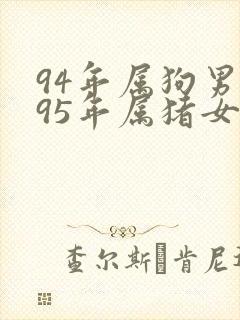 94年属狗男与95年属猪女婚配