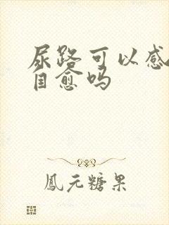 尿路可以感染能自愈吗