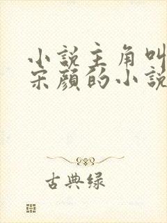 小说主角叫楚尘宋颜的小说