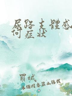 尿路支体感染有何症状