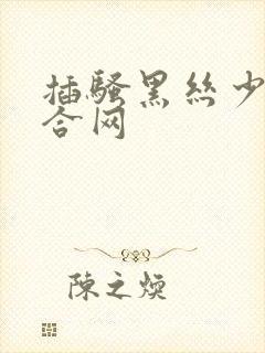 插骚黑丝少妇综合网