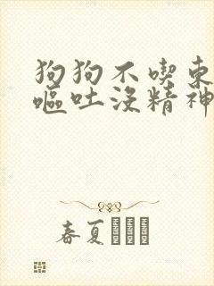 狗狗不吃东西还呕吐没精神怎么办拉稀