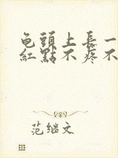 龟头上长一排红红点不疼不痒