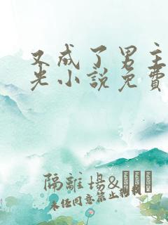 又成了男主白月光小说免费阅读