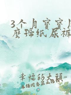 3个月宝宝用什么号纸尿裤