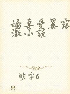 娇妻爱暴露寻刺激小说