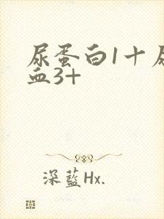 尿蛋白1十尿潜血3+