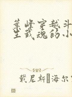 叶峰穿越斗罗三生武魂的小说