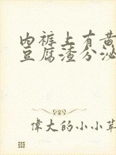 内裤上有黄黄的豆腐渣分泌物是怎么办