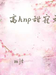 高hnp甜宠文