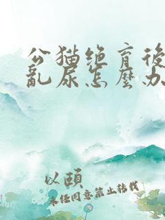 公猫绝育后还会乱尿怎么办