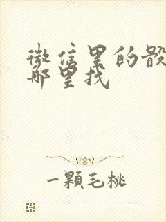 微信里的骰子在哪里找