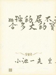 m号的尿不湿适合多大的宝宝