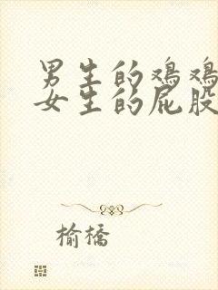 男生的鸡鸡插进女生的屁股里.