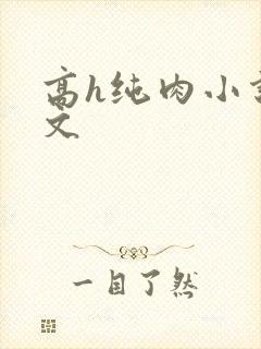 高h纯肉小说爽文