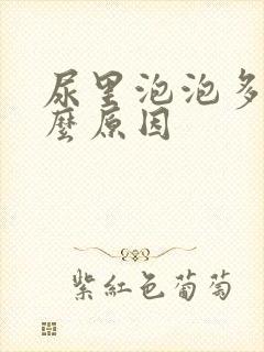 尿里泡泡多是什么原因