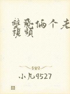 双飞俩个老熟女视频