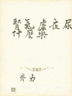 肾气虚夜尿多吃什么药