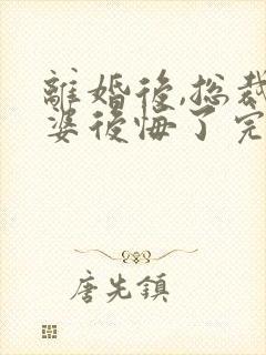 离婚后,总裁老婆后悔了完整版