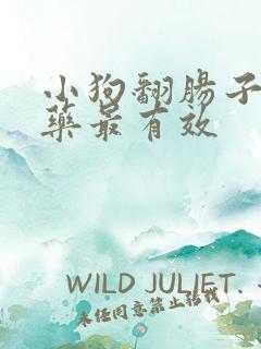 小狗翻肠子吃啥药最有效