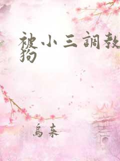 被小三调教成母狗