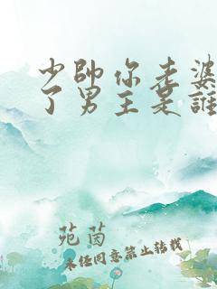 少帅你老婆又跑了男主是谁