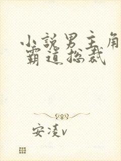 小说男主角姓霍 霸道总裁