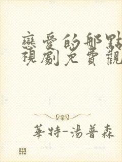 恋爱的那点事电视剧免费观看