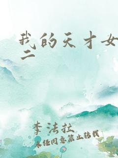 我的天才女友第二