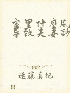 家里什么风水会导致夫妻吵架