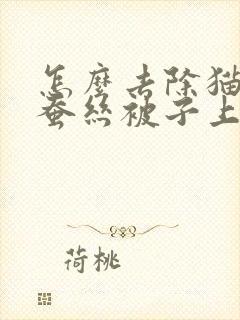 怎么去除猫尿在蚕丝被子上的味道