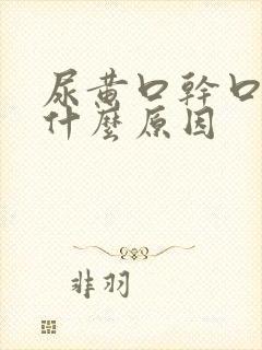 尿黄口干口苦是什么原因